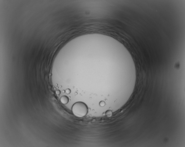 X0000115700420200912241527