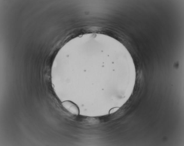 X0000115700421200912241527