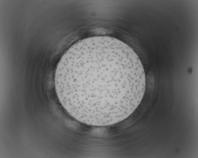 X0000115700422200912241527