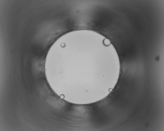 X0000115700423200912241527