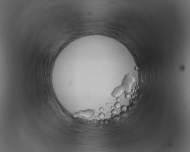 X0000115700424200912241527