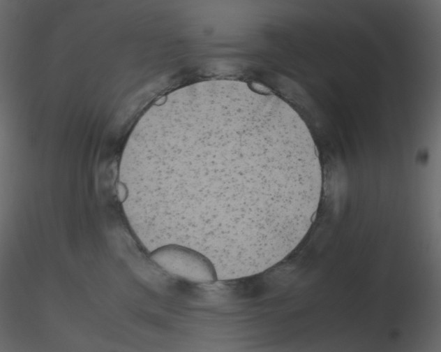 X0000115700425200912241527