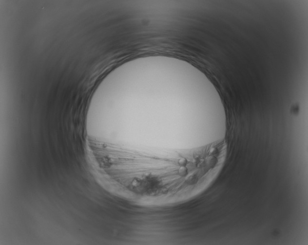 X0000115700428200912241527