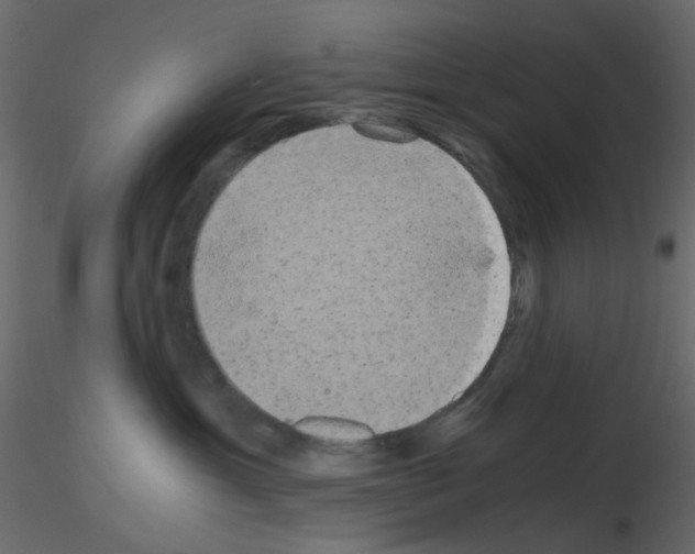 X0000115700429200912241527