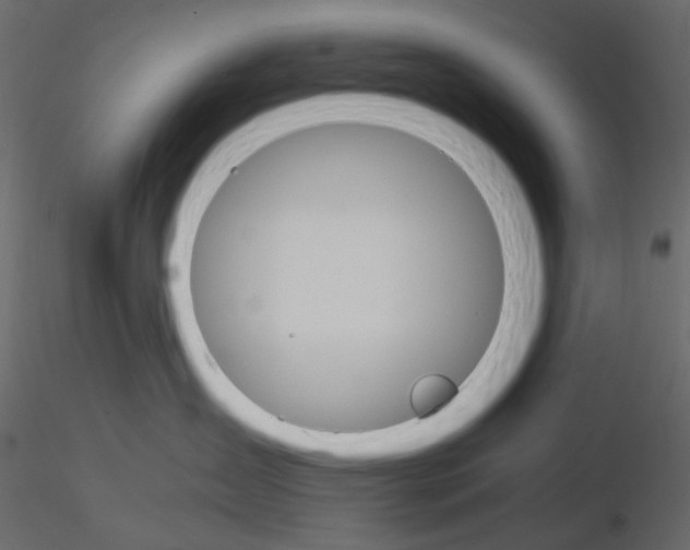 X0000115700431200912241527