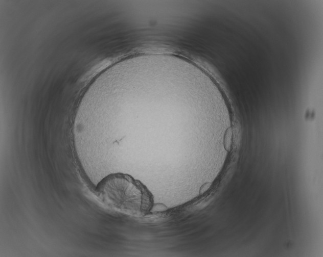 X0000115700433200912241526