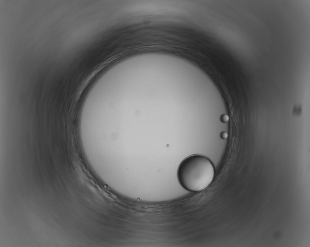 X0000115700435200912241526