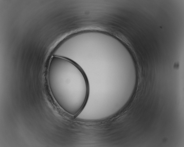 X0000115700436200912241526