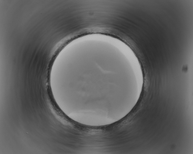 X0000115700438200912241526