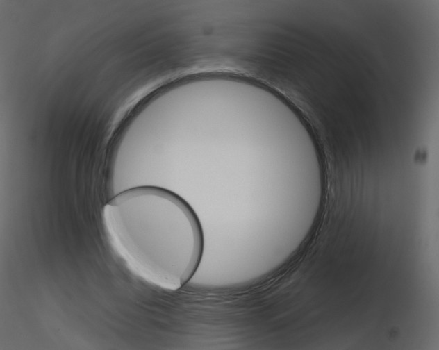 X0000115700440200912241526