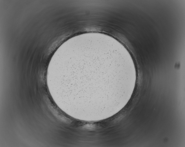 X0000115700441200912241526