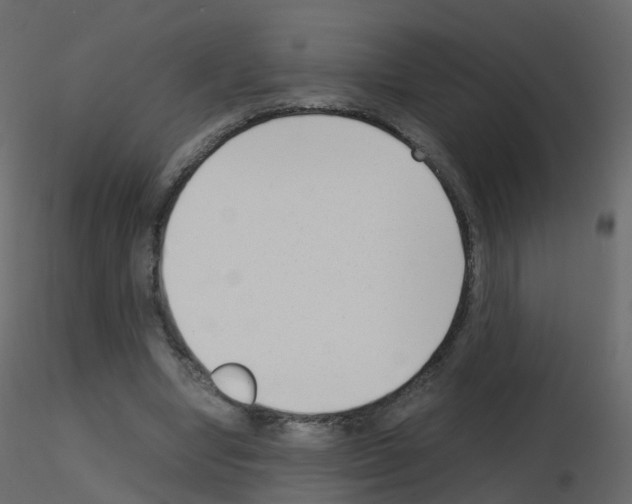 X0000115700442200912241526