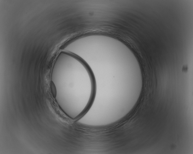 X0000115700444200912241526