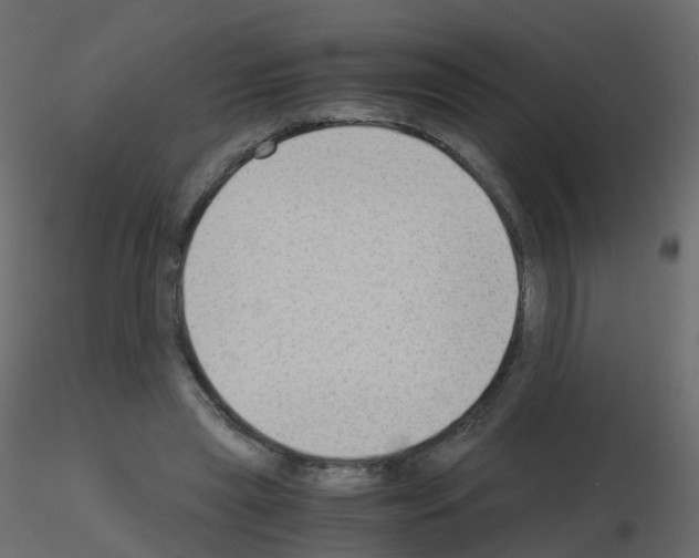 X0000115700445200912241526