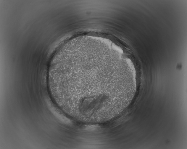 X0000115700446200912241526