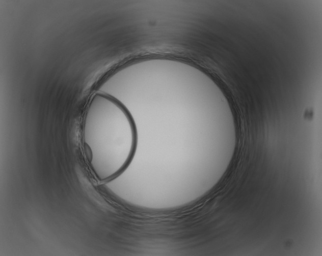 X0000115700448200912241526