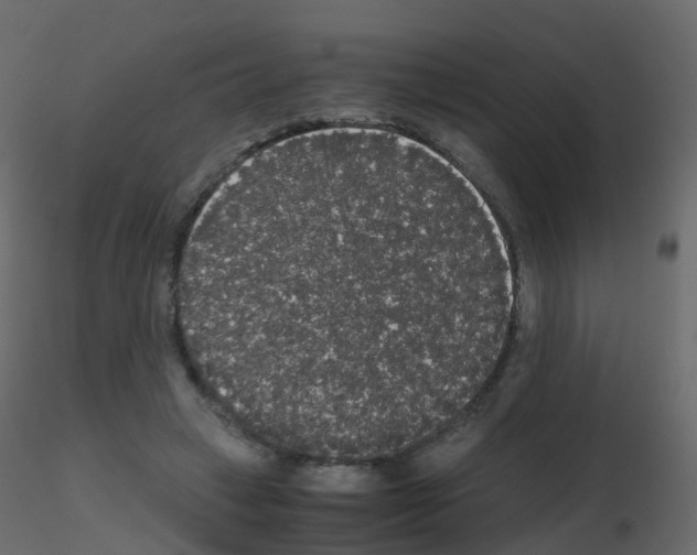 X0000115700449200912241526