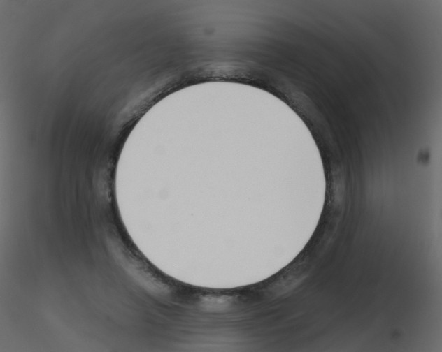 X0000115700450200912241526