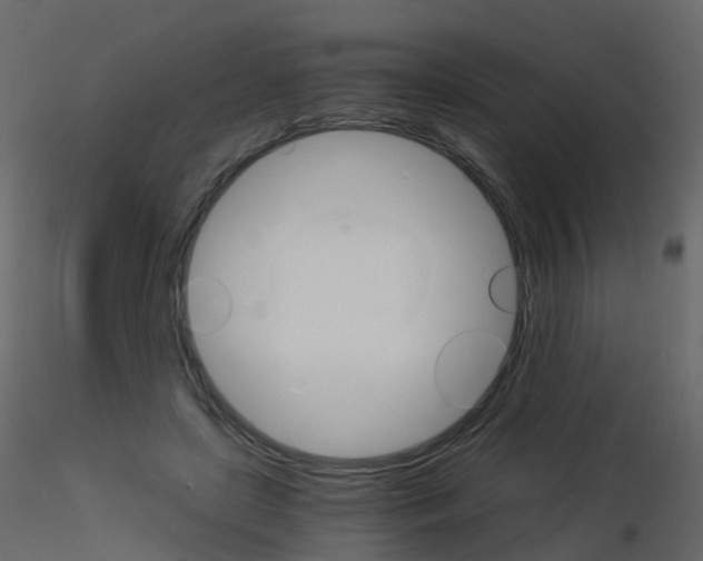 X0000115700451200912241526