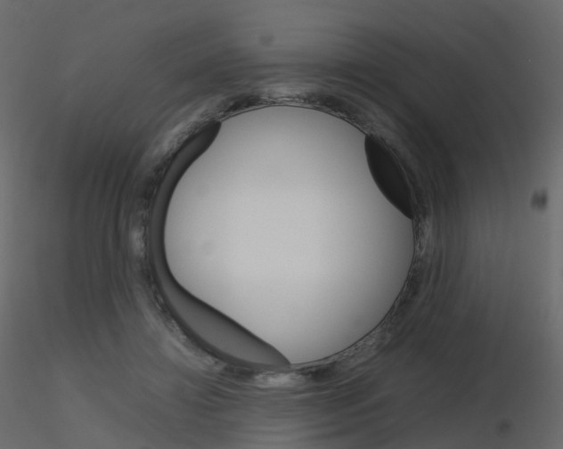 X0000115700452200912241526