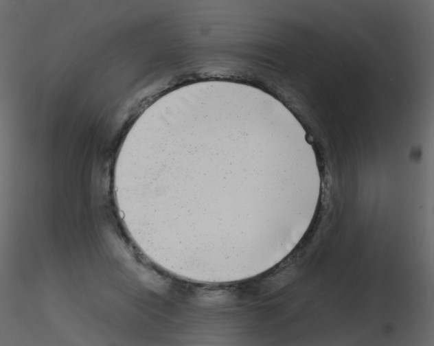 X0000115700454200912241526