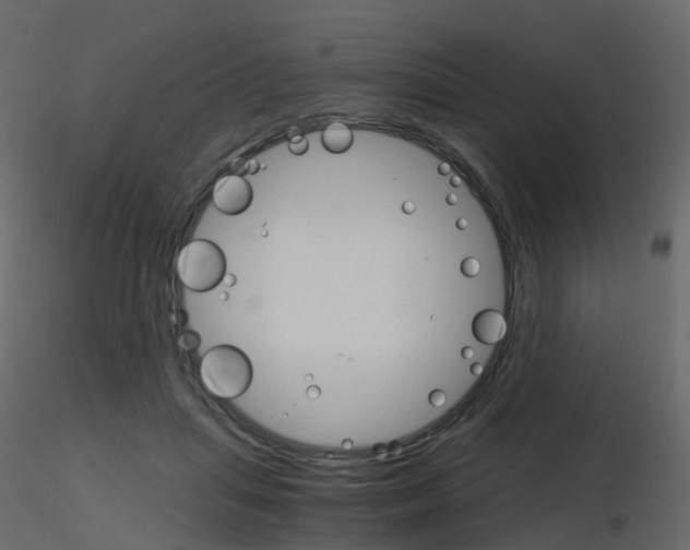 X0000115700455200912241526