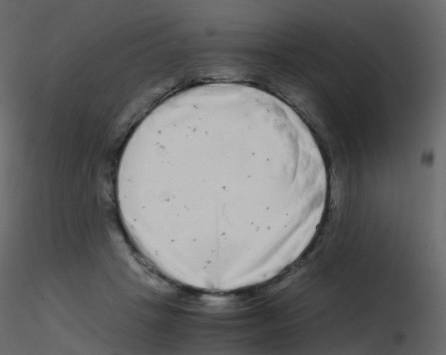 X0000115700457200912241526