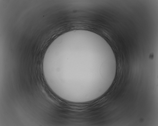 X0000115700459200912241526