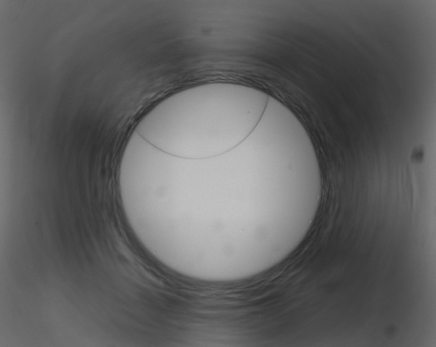 X0000115700460200912241526