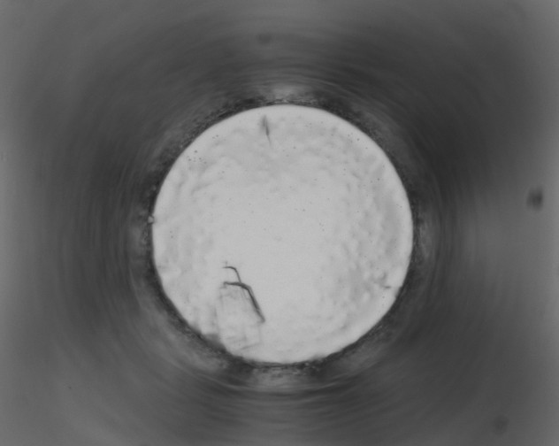 X0000115700461200912241526