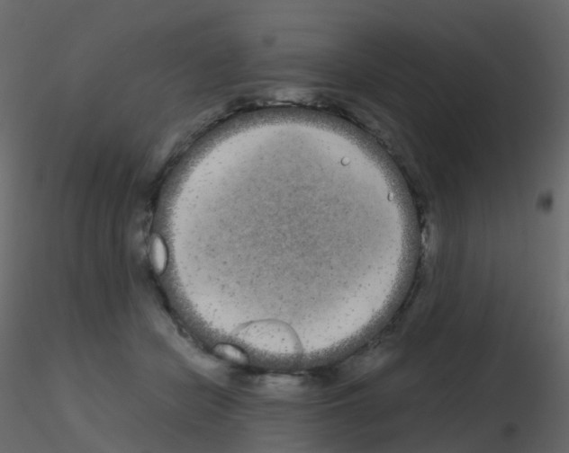 X0000115700462200912241526