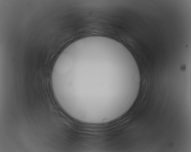 X0000115700463200912241526