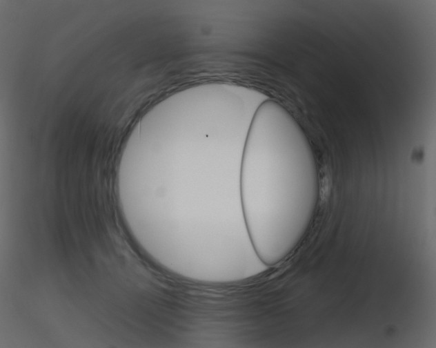 X0000115700464200912241526