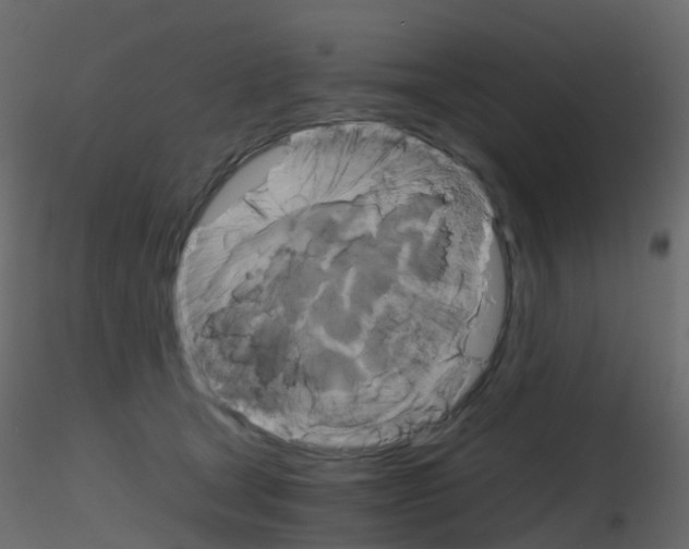 X0000115700465200912241526