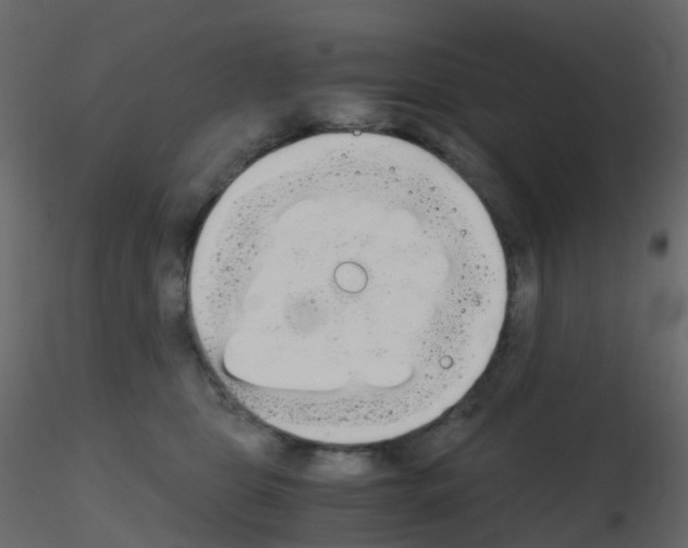 X0000115700469200912241526