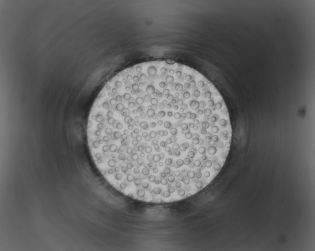 X0000115700470200912241526