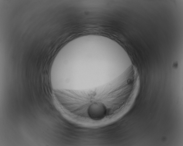 X0000115700471200912241526