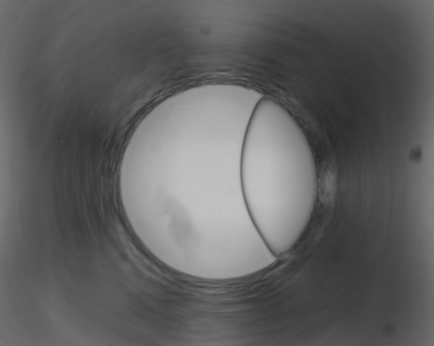 X0000115700472200912241526