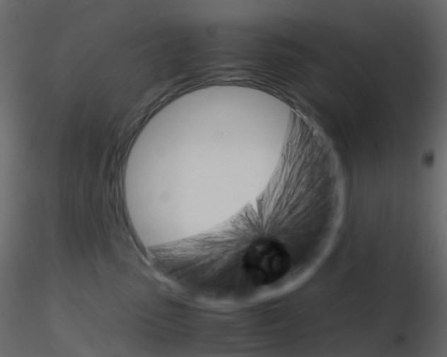 X0000115700475200912241526