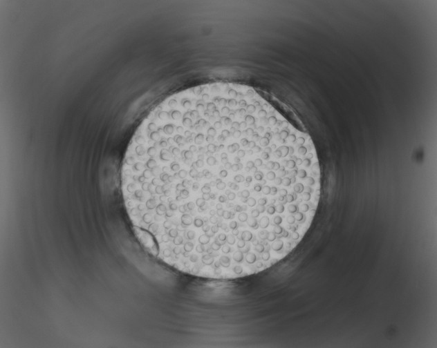 X0000115700478200912241527