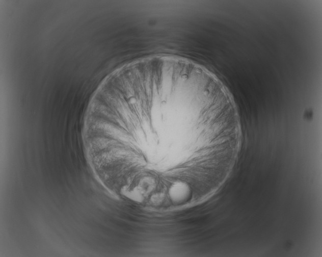 X0000115700479200912241527