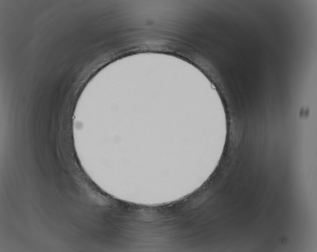 X0000115700481200912241526