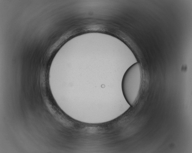 X0000115700482200912241526