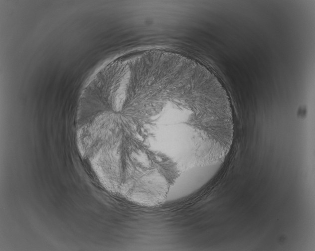 X0000115700483200912241526