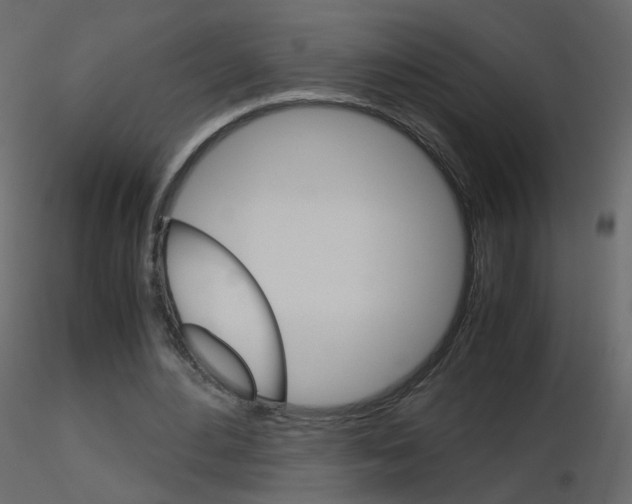 X0000115700484200912241526