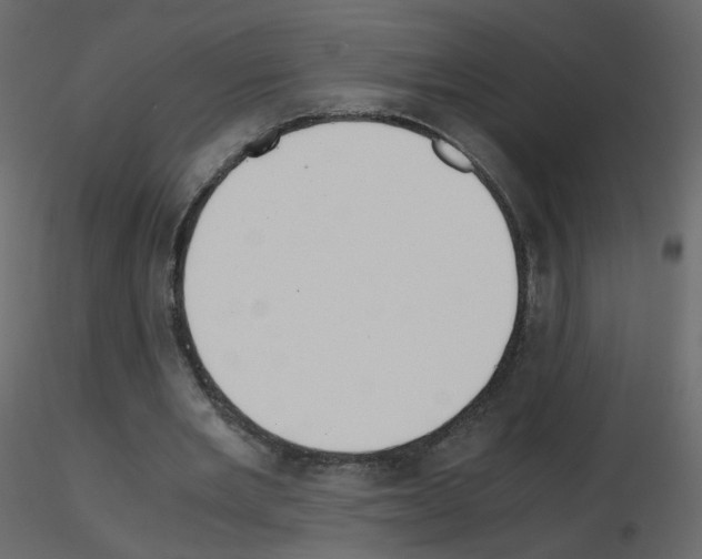 X0000115700485200912241526