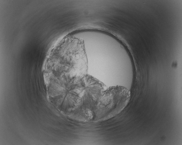 X0000115700487200912241526