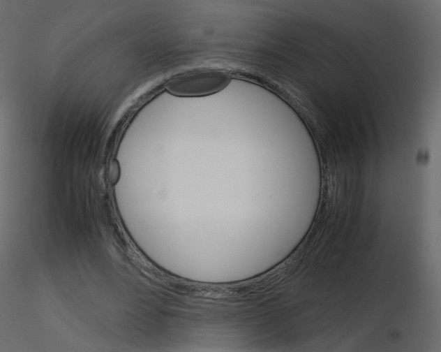 X0000115700488200912241526