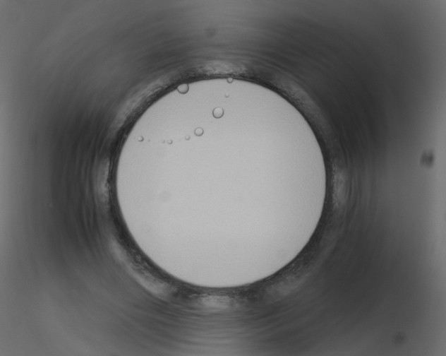 X0000115700490200912241526