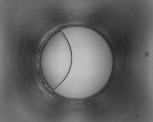 X0000115700492200912241526